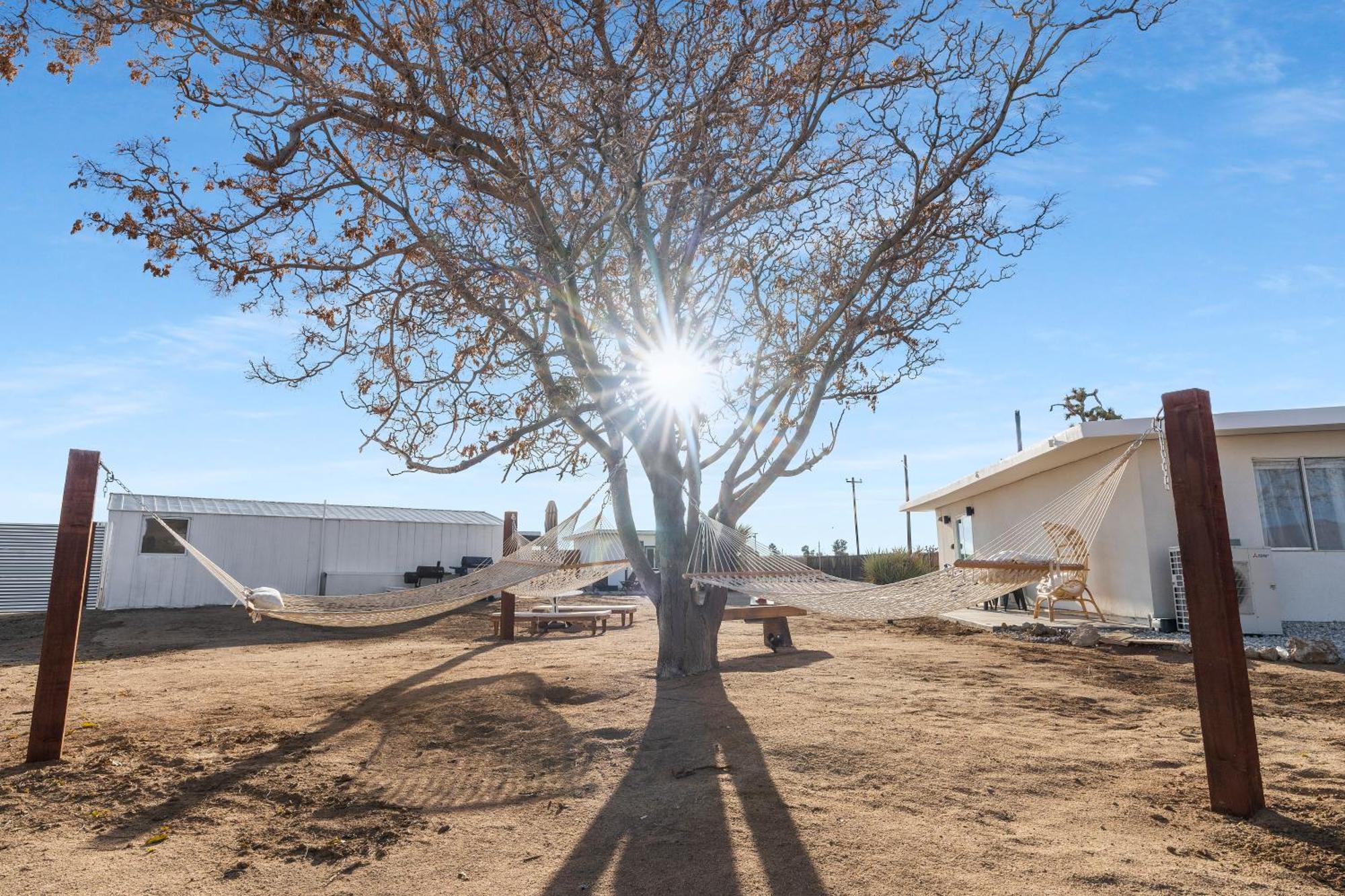 Private Jt Cabin - Ev L2 Station, Hammocks, Fire Pit, Bbq, Bocce Ball, Cornhole ユッカ・バレー エクステリア 写真